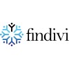 findivi consulting