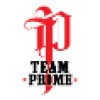 team prime consulting ltd
