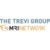 The Trevi Group