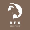 Bex Solutions