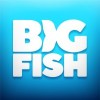 big fish games