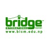 BRIDGE INTERNATIONAL CONSULTANCY AND MIGRATION LIMITED