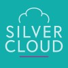 silver cloud
