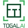 togal.ai