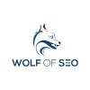 wolf of seo fz llc