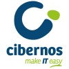 cibernos