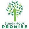 sandy hook promise