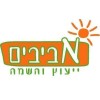 avivim - consulting & placement