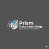 prism data consulting