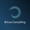 bricsa consulting