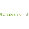 cimmyt