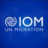 iom - un migration