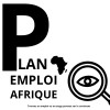 plan emploi afrique