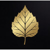 birch finance