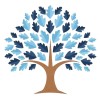 blue oak consulting