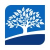 bridgetree