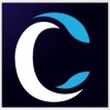 consule solutions | netsuite alliance partner