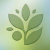 youth for sustainable policy